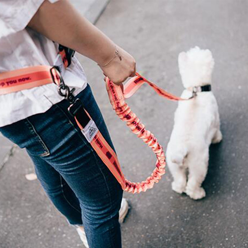 Running Gear Holder - Tali Anjing Bebas Genggam Dapat Disesuaikan