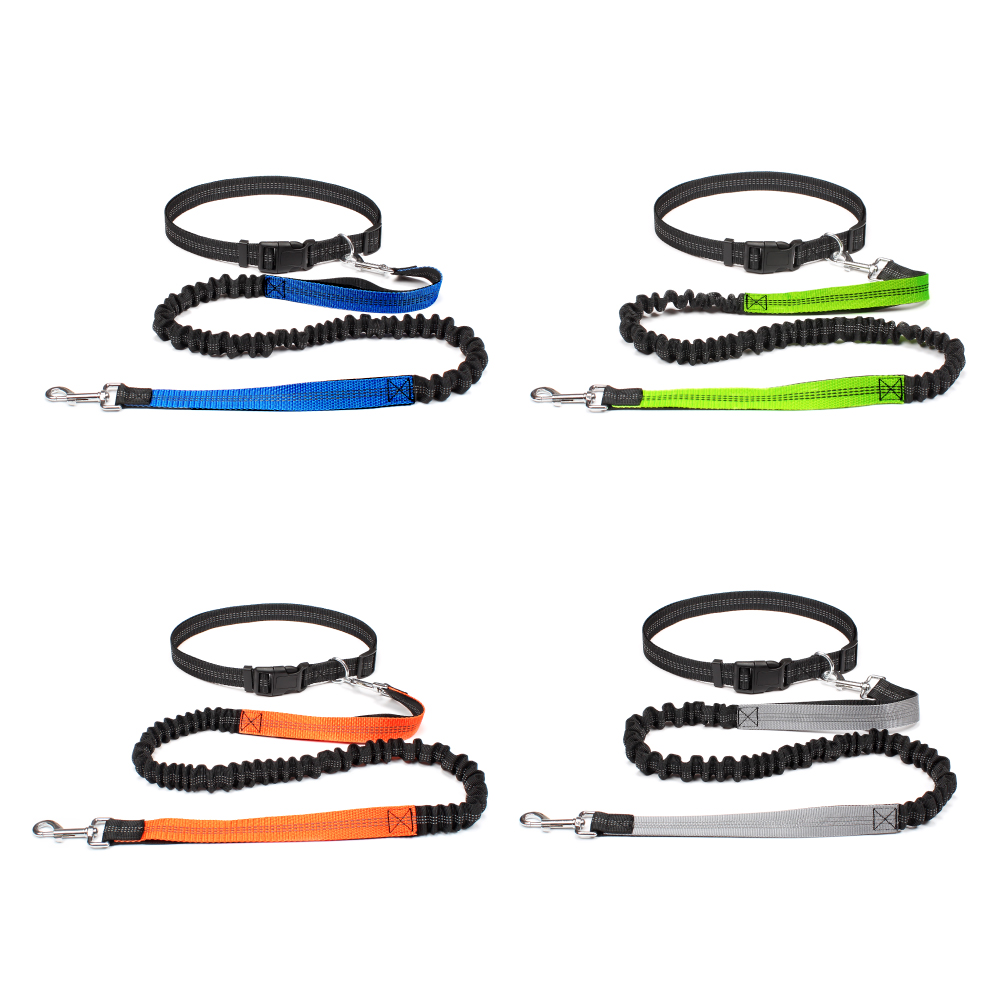 Tali Anjing Bebas Tangan untuk - Running Gear Holder ulasan dan harga