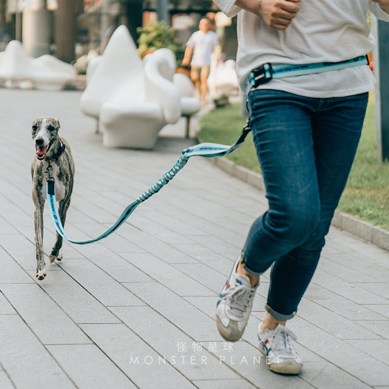 Tali Anjing Bebas Genggam Dapa - Running Gear Holder ulasan dan harga