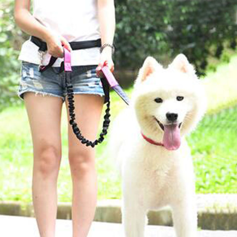 Tali Anjing Bebas Genggam Dapa - Running Gear Holder ulasan dan harga
