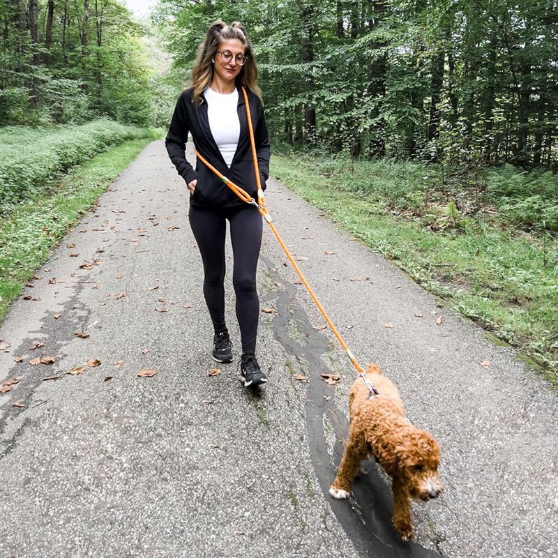 Tali Anjing yang Dapat Dipakai - Running Gear Holder ulasan dan harga